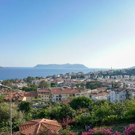 Apartament Mini *