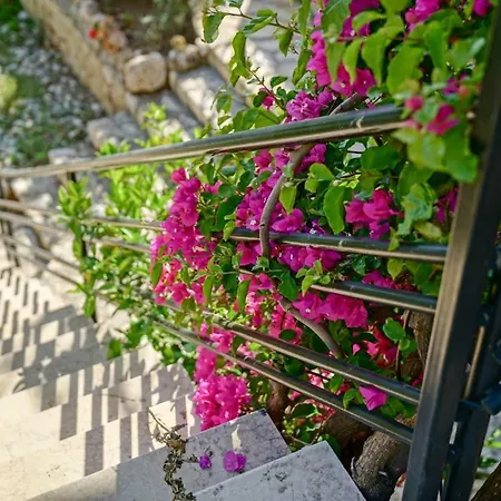 Mini Apartman